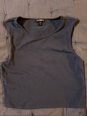 Express Women's Navy Sleeveless Crop Tank Top